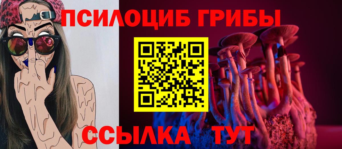 купить   Псилоцибиновые грибы Cubensis  Вход с VPN  Сунжа 