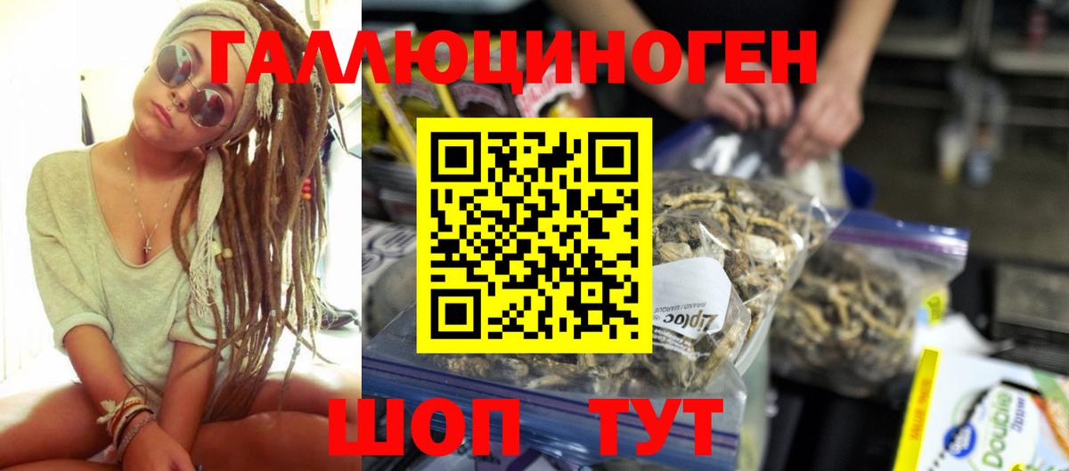 Галлюциногенные грибы Psilocybine cubensis Сунжа